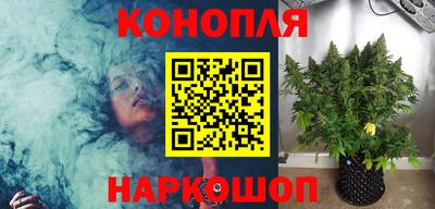 шишки Жуковский