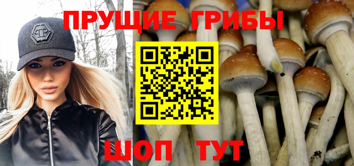 Псилоцибиновые грибы Cubensis  Вход с VPN  купить наркотик  Москва 